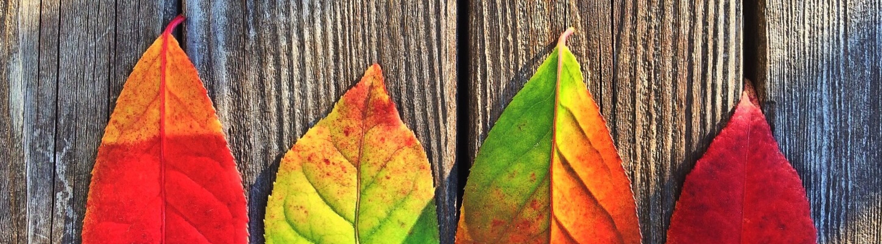 8 Fun and Functional Fall Fitness Tips