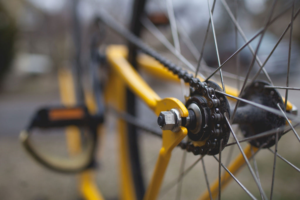 Why You Should Own an Indoor Exercise Bike and Outdoor Cycle