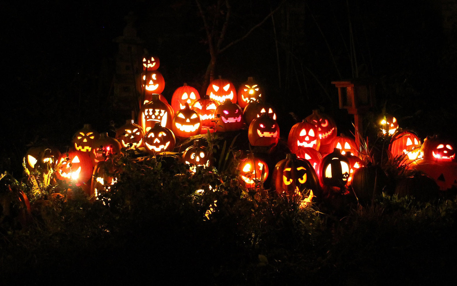 Simple, Healthy Halloween Snacks: How to Avoid the Sugar Overload