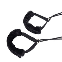 AeroPilates Premier Studio 701 close up