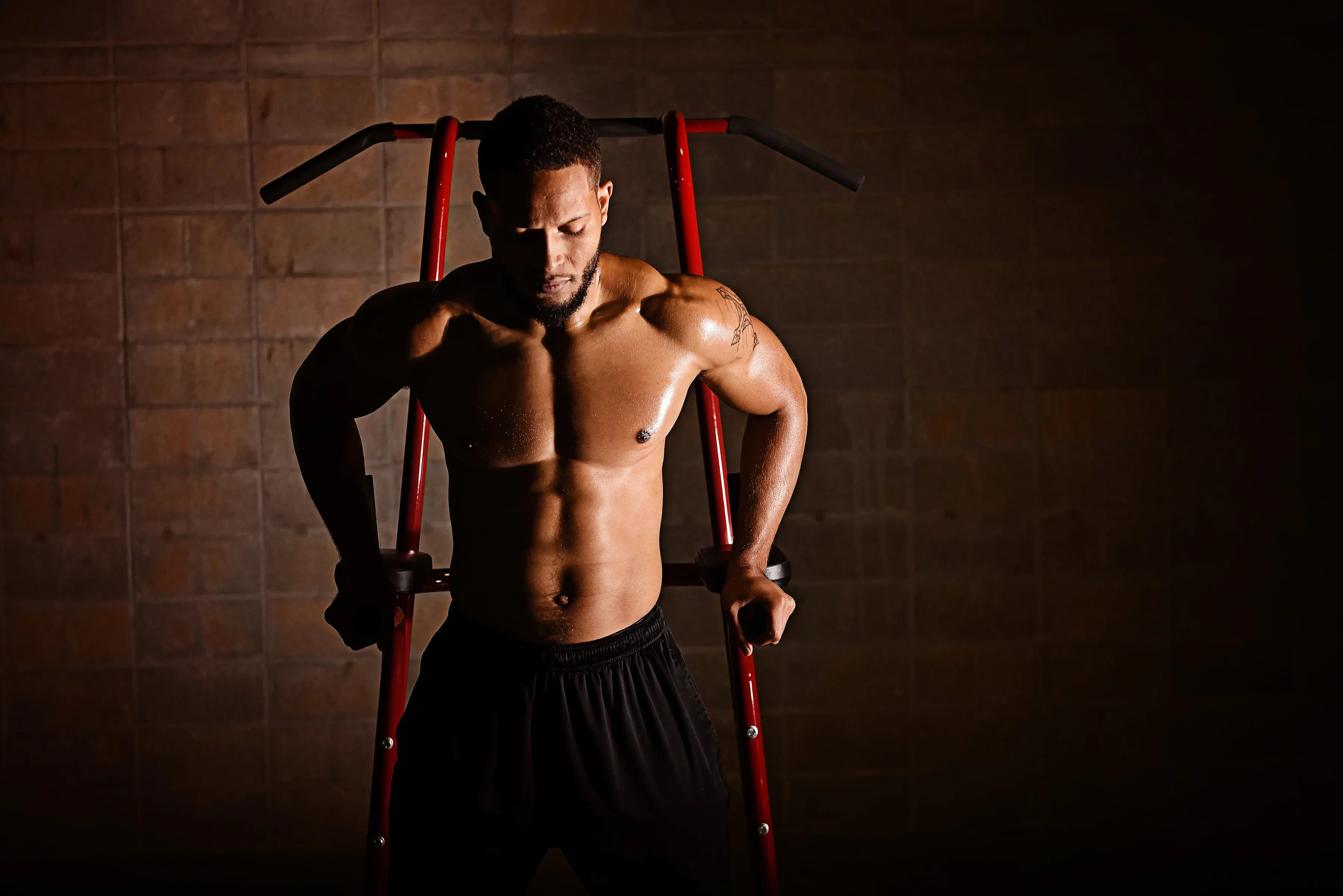 Stamina|X Power Tower with VKR - Stamina Products