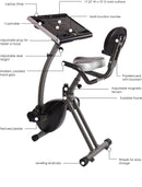 Wirk Ride Exercise Bike Workstation and Standing Desk - Stamina Products