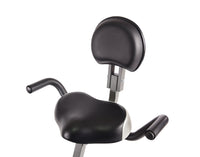 Wirk Ride Exercise Bike Workstation and Standing Desk - Stamina Products