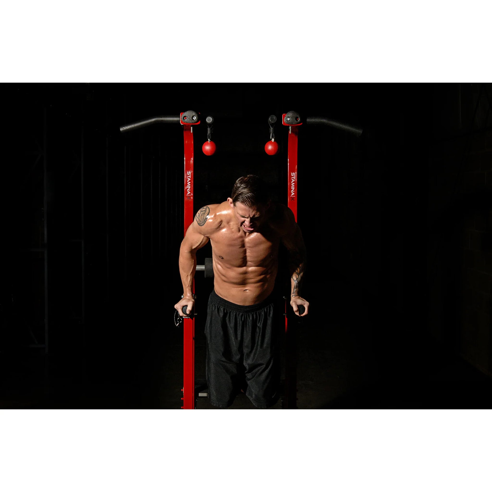 Stamina X Fortress - Stamina Products