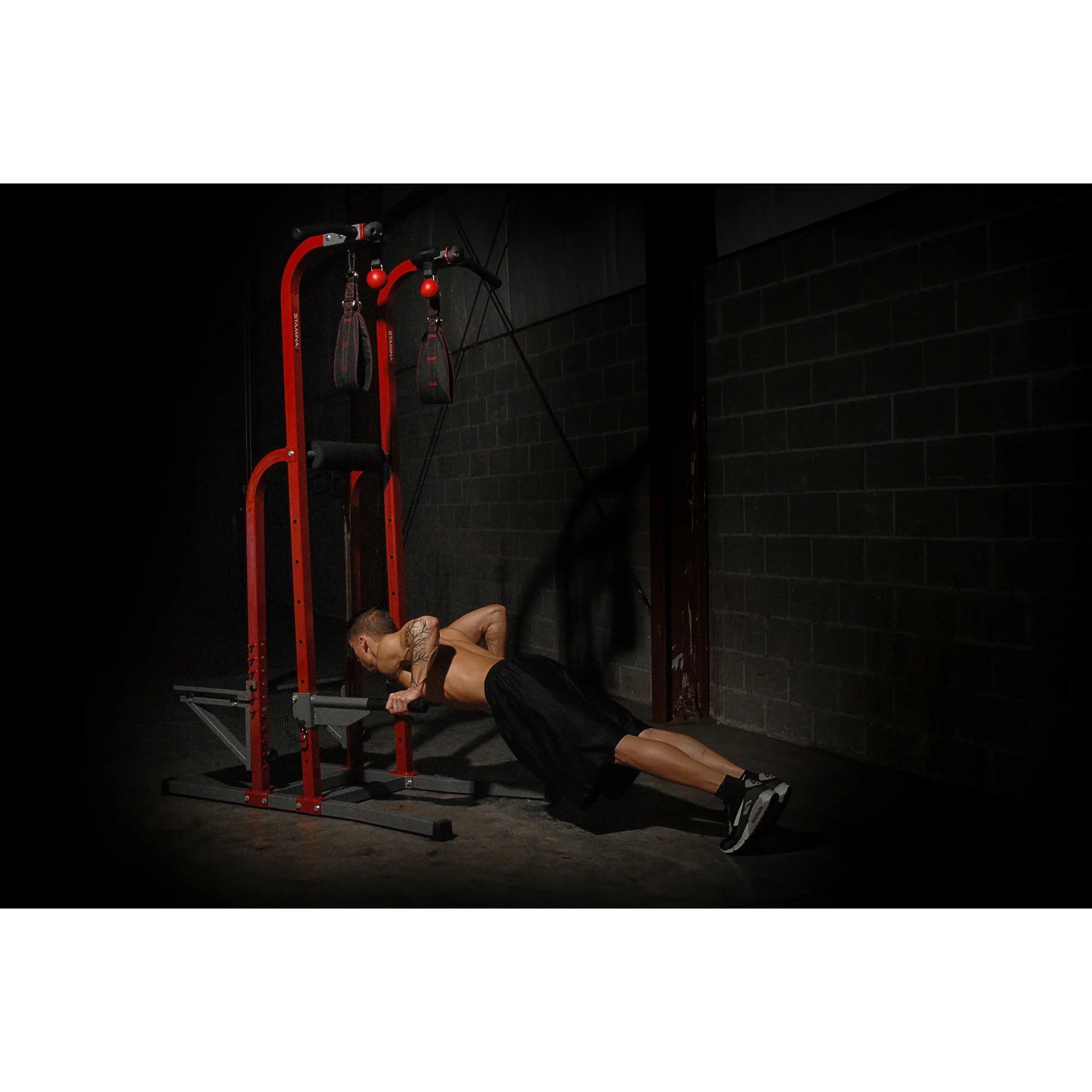 Stamina X Fortress - Stamina Products