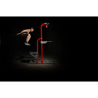 Stamina X Fortress - Stamina Products