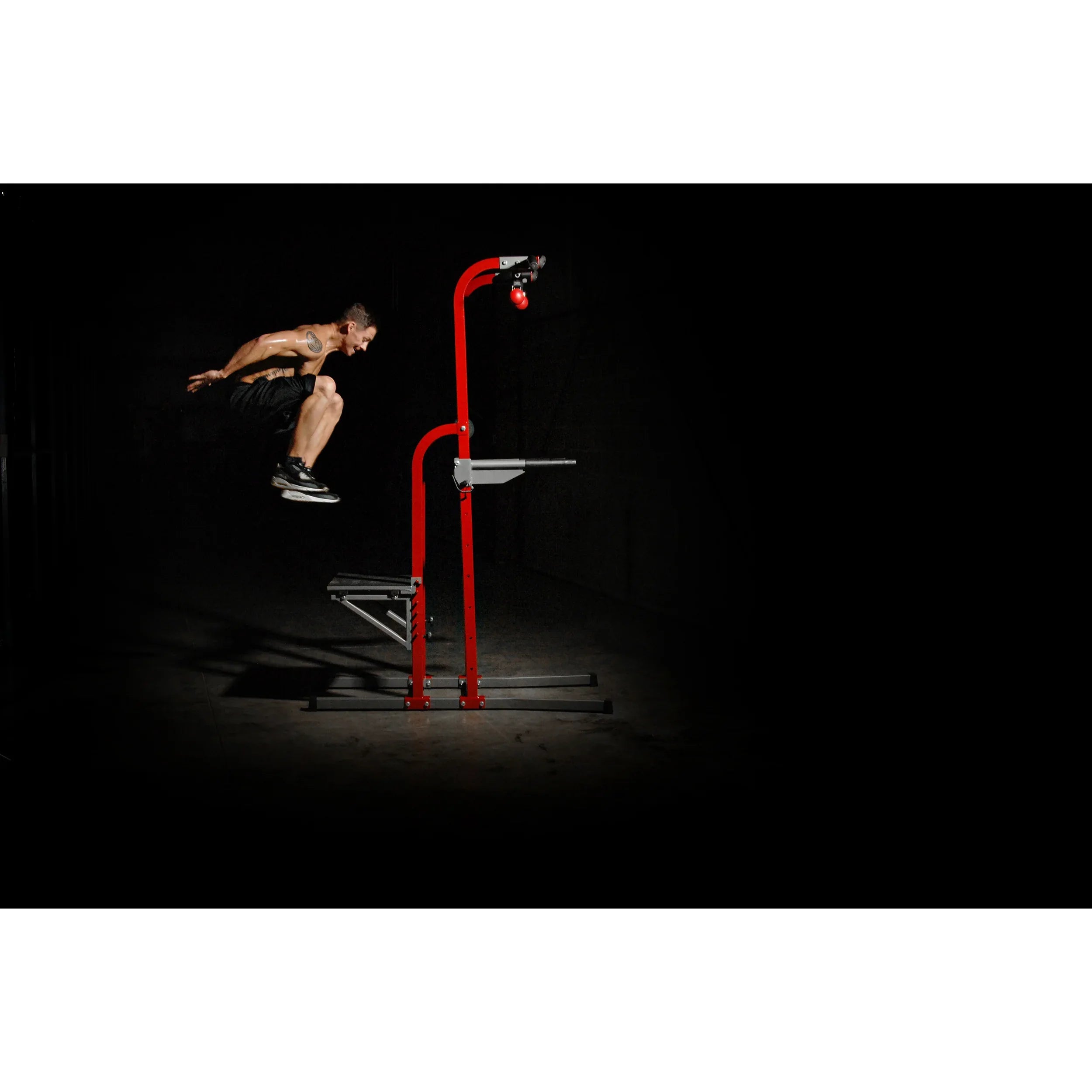 Stamina X Fortress - Stamina Products