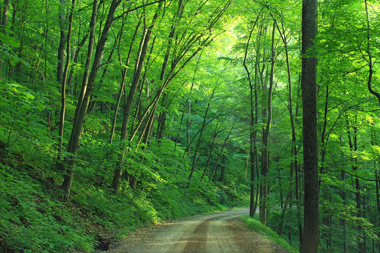 Bodyweight Training: Escape the Gym and Enjoy the Outdoors