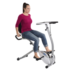 Recumbent Bike Workstation And Standing Desk Stamina Products