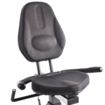 stamina elite total body recumbent