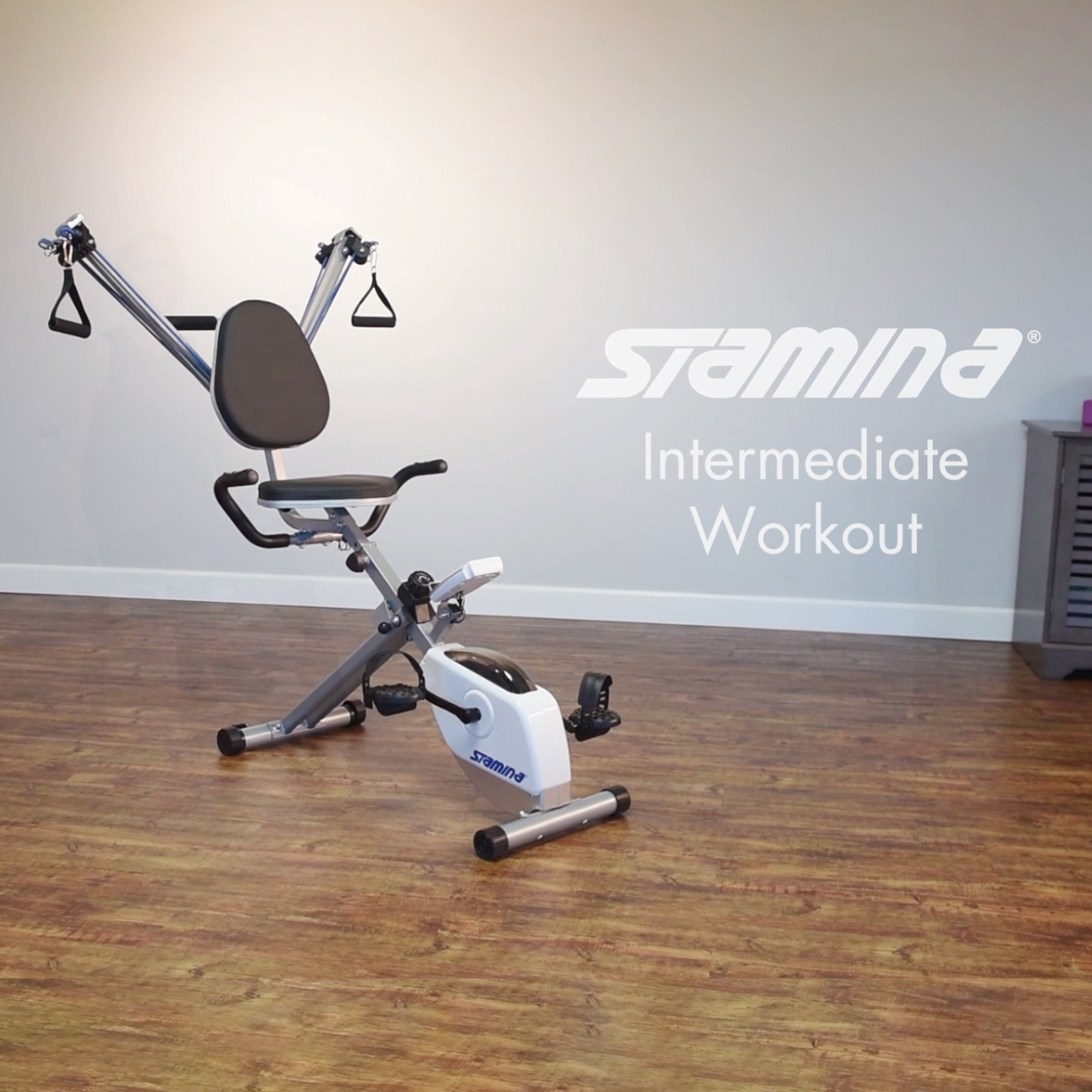 Stamina Exercise Bike And Strength System Workout Video Package ...