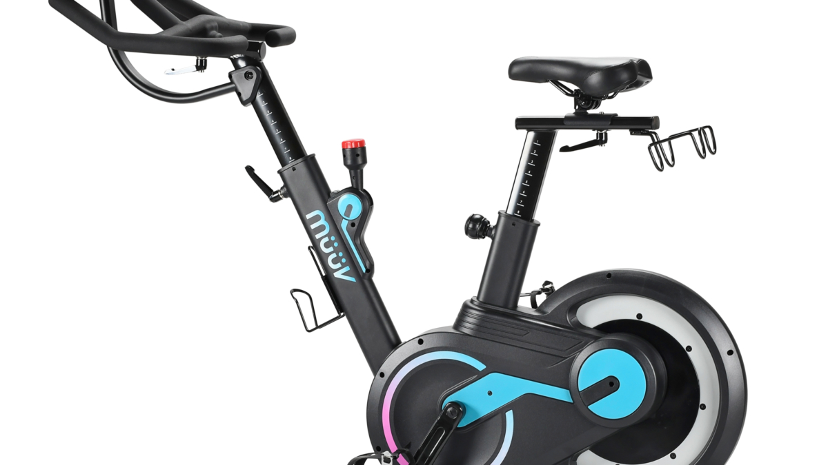 Stamina indoor cycle 1305 sale